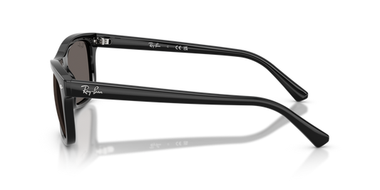 Ray-Ban RB2226 901/B1 - Güneş Gözlükleri