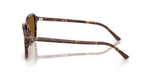 Ray-Ban RB2231 141833 - Güneş Gözlükleri