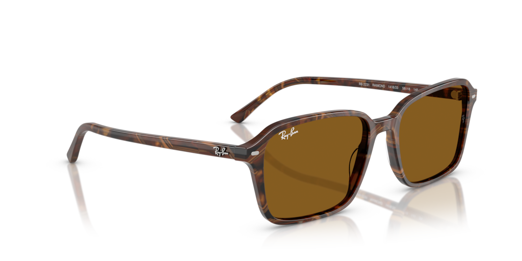 Ray-Ban RB2231 141833 - Güneş Gözlükleri