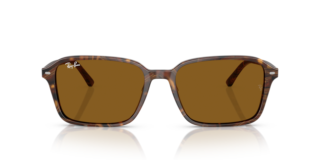 Ray-Ban RB2231 141833 - Güneş Gözlükleri