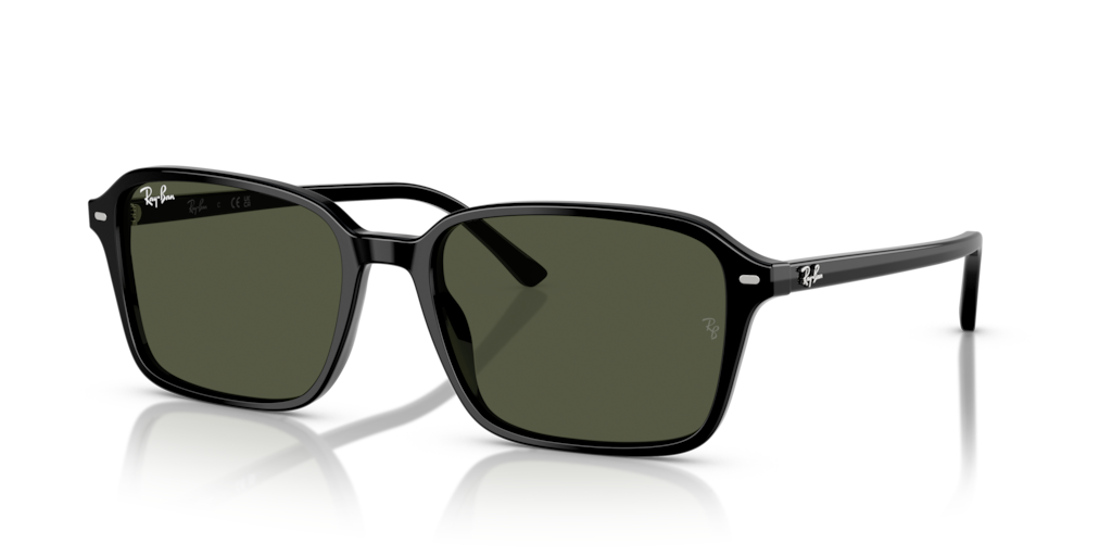 Ray-Ban RB2231 901/31 - 56 - Güneş Gözlükleri
