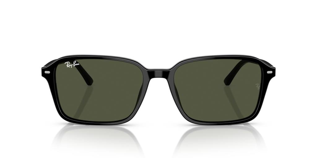 Ray-Ban RB2231 901/31 - Güneş Gözlükleri