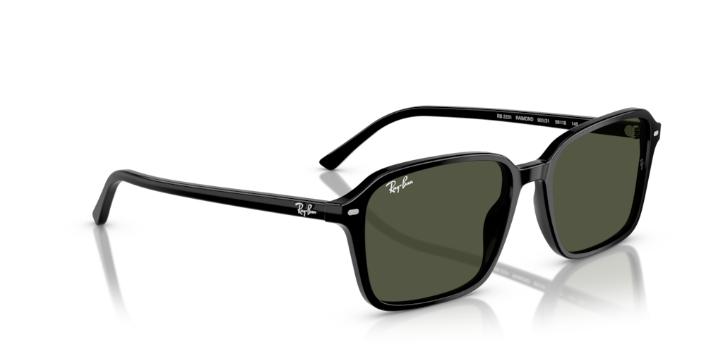 Ray-Ban RB2231 901/31 - Güneş Gözlükleri