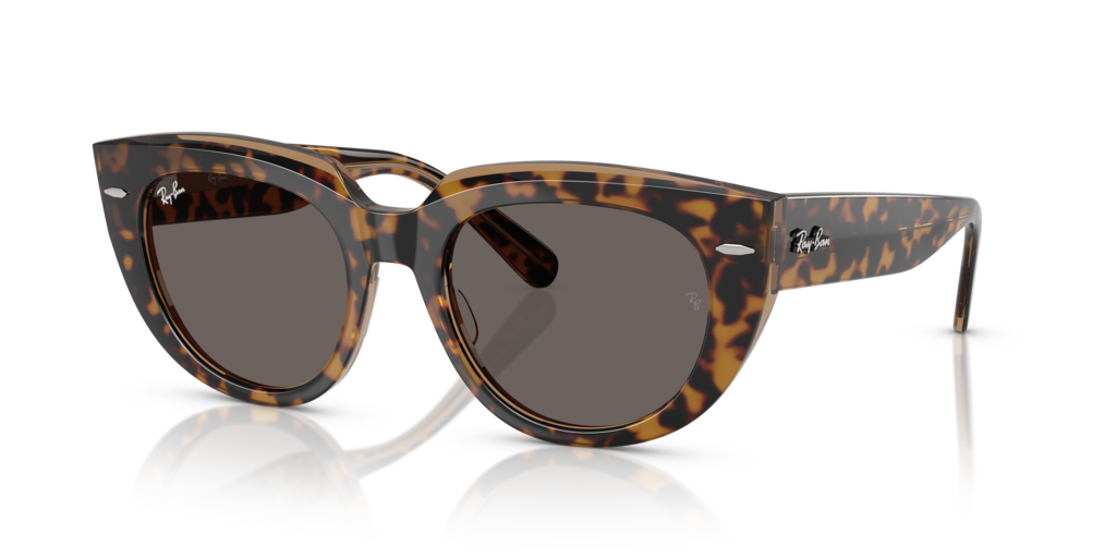 Ray-Ban RB2286 1292B1 - 49 - Güneş Gözlükleri
