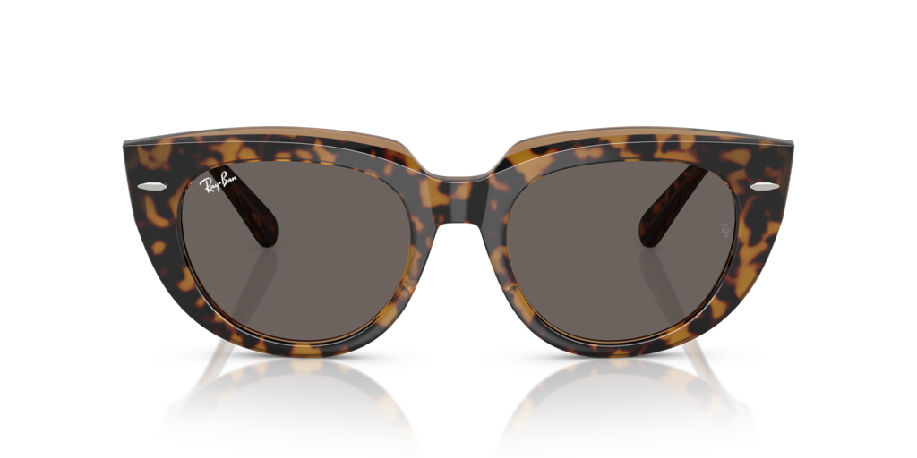 Ray-Ban RB2286 1292B1 - 49 - Güneş Gözlükleri