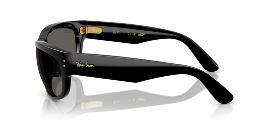 Ray-Ban RB2289 6826J5 - Güneş Gözlükleri