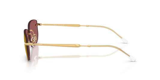 Ray-Ban RB3768 001/D0 - 56 - Güneş Gözlükleri