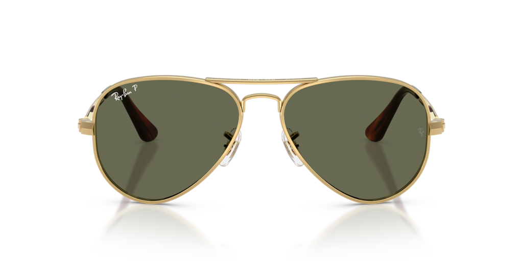 Ray-Ban RB3925 001/58 - Güneş Gözlükleri