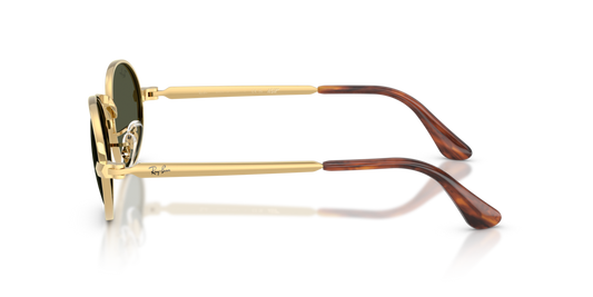 Ray-Ban RB3931 001/31 - 54 - Güneş Gözlükleri