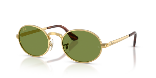 Ray-Ban RB3931 001/4E - 54 - Güneş Gözlükleri