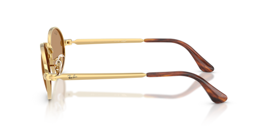 Ray-Ban RB3931 001/53 - 54 - Güneş Gözlükleri