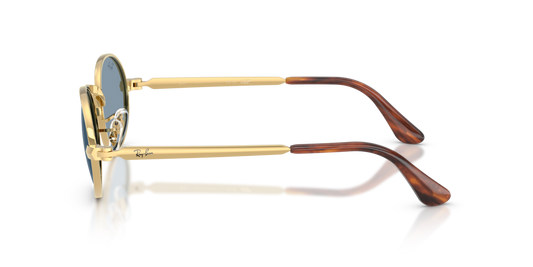 Ray-Ban RB3931 001/56 - 54 - Güneş Gözlükleri