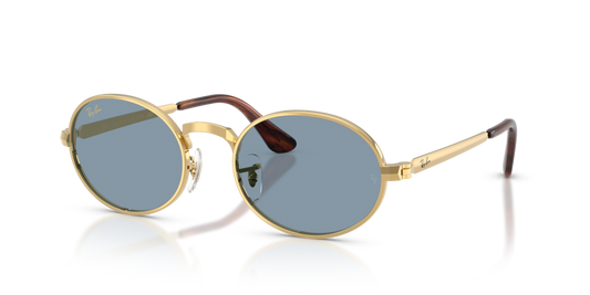 Ray-Ban RB3931 001/56 - 54 - Güneş Gözlükleri