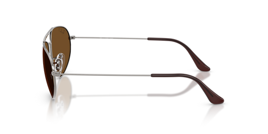 Ray-Ban RB3945 004/57 - Güneş Gözlükleri
