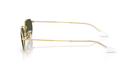 Ray-Ban RB3947 001/31 - Güneş Gözlükleri