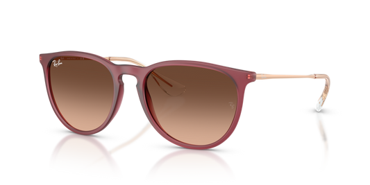 Ray-Ban RB4171 6815A5 - 54 - Güneş Gözlükleri