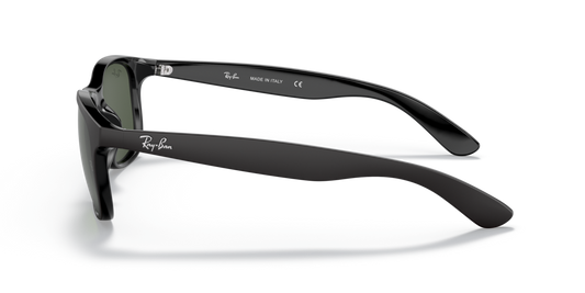 Ray-Ban RB4202 606971 - 55 - Güneş Gözlükleri