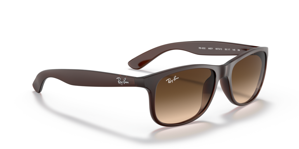 Ray-Ban RB4202 607313 - 55 - Güneş Gözlükleri