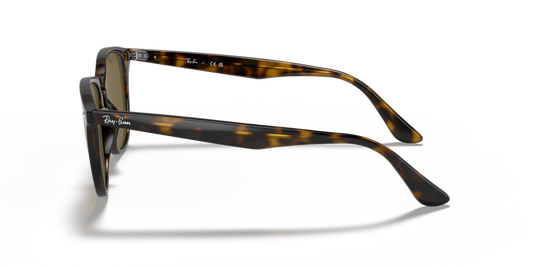 Ray-Ban RB4259 710/73 - 51 - Güneş Gözlükleri