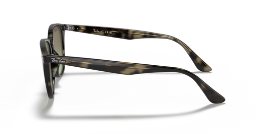 Ray-Ban RB4259 731/E8 - 51 - Güneş Gözlükleri