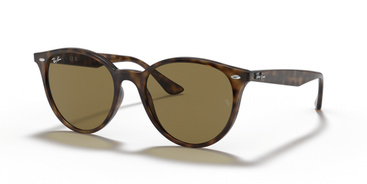 Ray-Ban RB4305 710/73 - 53 - Güneş Gözlükleri