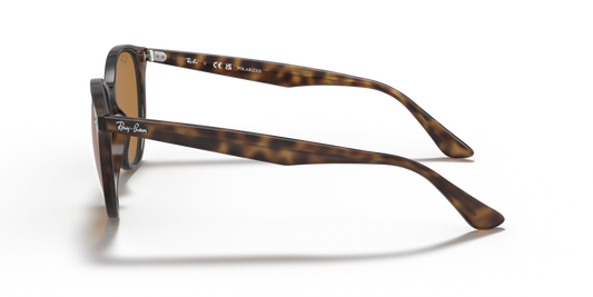 Ray-Ban RB4305 710/83 - 53 - Güneş Gözlükleri