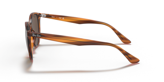 Ray-Ban RB4305 820/73 - 53 - Güneş Gözlükleri
