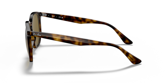 Ray-Ban RB4306 710/73 - 54 - Güneş Gözlükleri