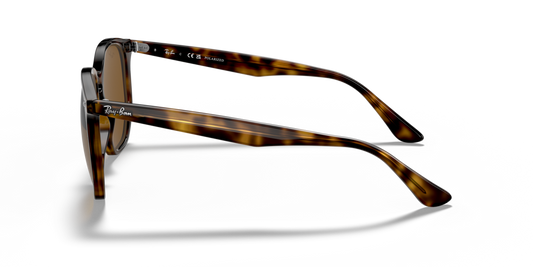 Ray-Ban RB4306 710/83 - 54 - Güneş Gözlükleri