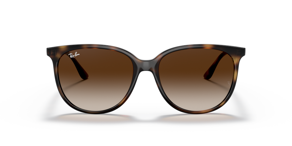 Ray-Ban RB4378 710/13 - 54 - Güneş Gözlükleri