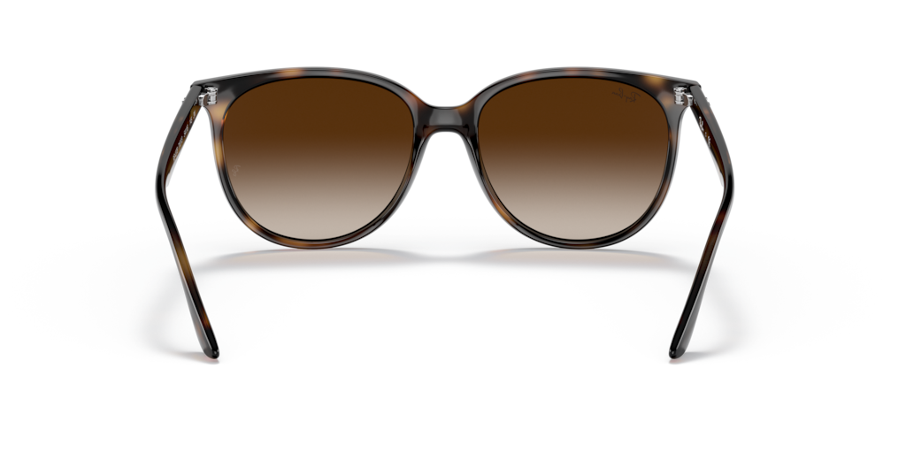 Ray-Ban RB4378 710/13 - 54 - Güneş Gözlükleri
