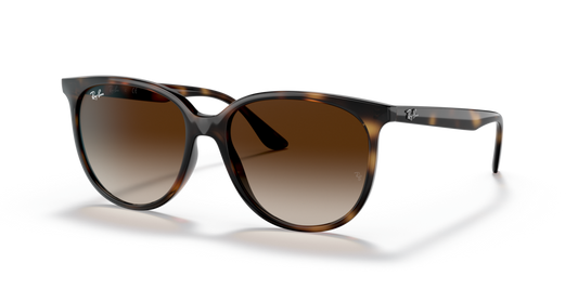 Ray-Ban RB4378 710/13 - 54 - Güneş Gözlükleri