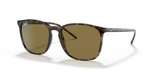 Ray-Ban RB4387 710/73 - 56 - Güneş Gözlükleri