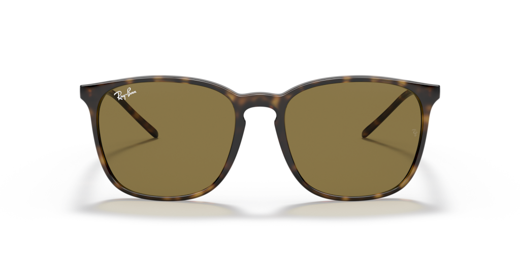 Ray-Ban RB4387 710/73 - 56 - Güneş Gözlükleri