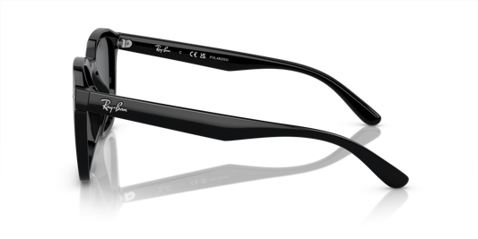 Ray-Ban RB4392D 601/81 - 66 - Güneş Gözlükleri