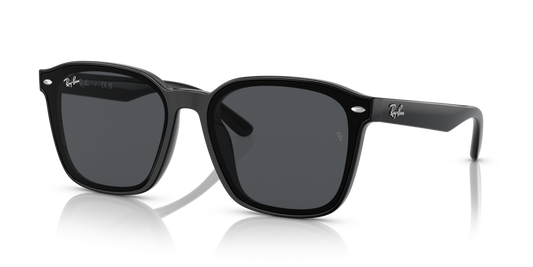 Ray-Ban RB4392D 601/87 - 66 - Güneş Gözlükleri