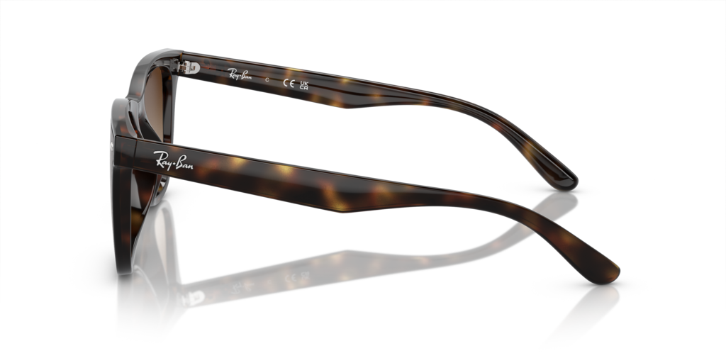 Ray-Ban RB4420 710/13 - 65 - Güneş Gözlükleri