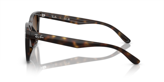 Ray-Ban RB4420 710/13 - 65 - Güneş Gözlükleri