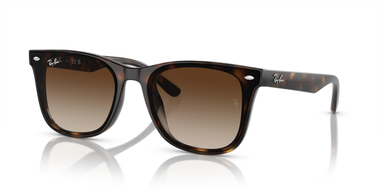 Ray-Ban RB4420 710/13 - 65 - Güneş Gözlükleri