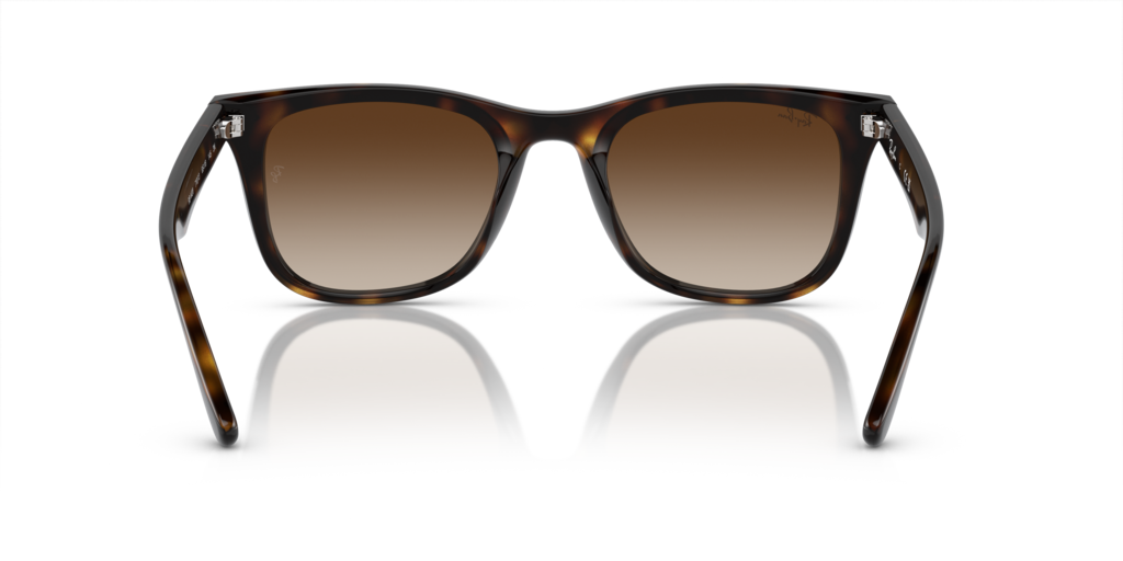 Ray-Ban RB4420 710/13 - 65 - Güneş Gözlükleri