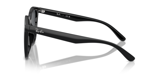 Ray-Ban RB4423D 601/87 - 66 - Güneş Gözlükleri