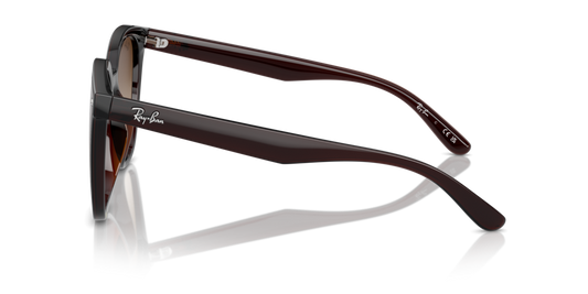 Ray-Ban RB4423D 714/13 - 66 - Güneş Gözlükleri