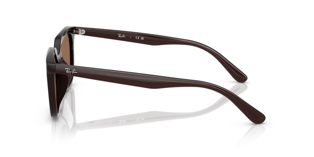 Ray-Ban RB4439D 623173 - 54 - Güneş Gözlükleri
