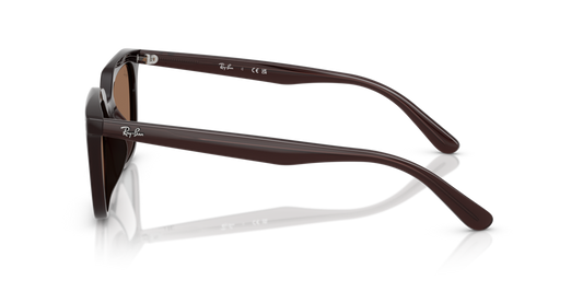 Ray-Ban RB4439D 623173 - 54 - Güneş Gözlükleri