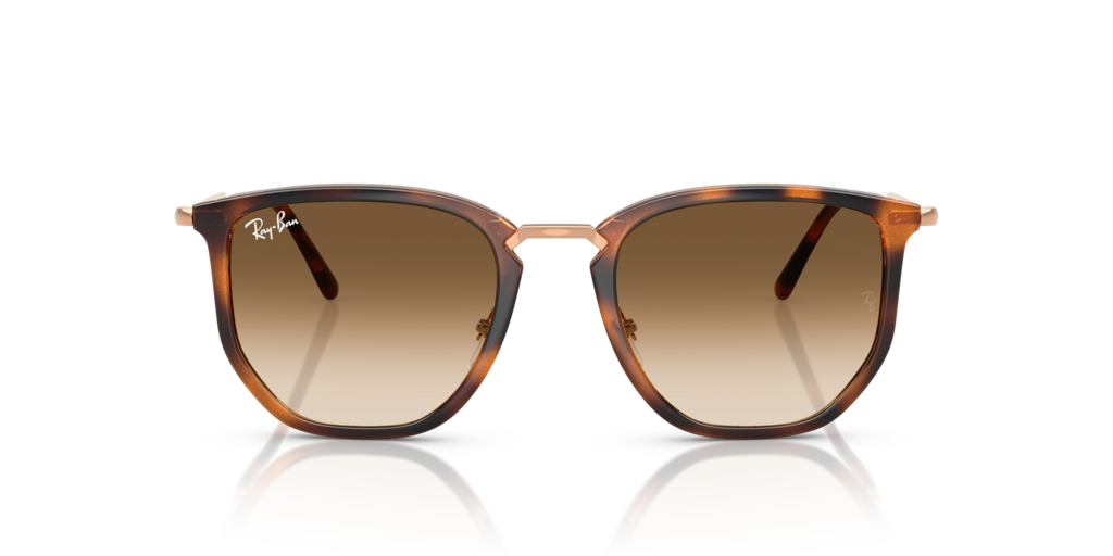 Ray-Ban RB4451 680451 - Güneş Gözlükleri
