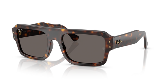 Ray-Ban RB4454 1359B1 - 53 - Güneş Gözlükleri
