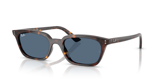 Ray-Ban RB4456 135980 - 53 - Güneş Gözlükleri