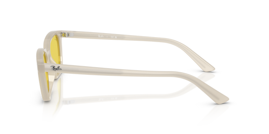 Ray-Ban RB4456 68086D - 50 - Güneş Gözlükleri