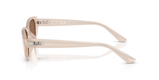 Ray-Ban RB4457D 678673 - 55 - Güneş Gözlükleri