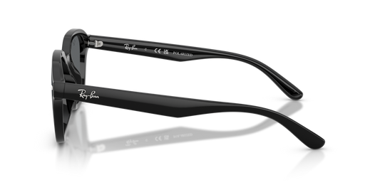 Ray-Ban RB4458D 601/81 - 65 - Güneş Gözlükleri